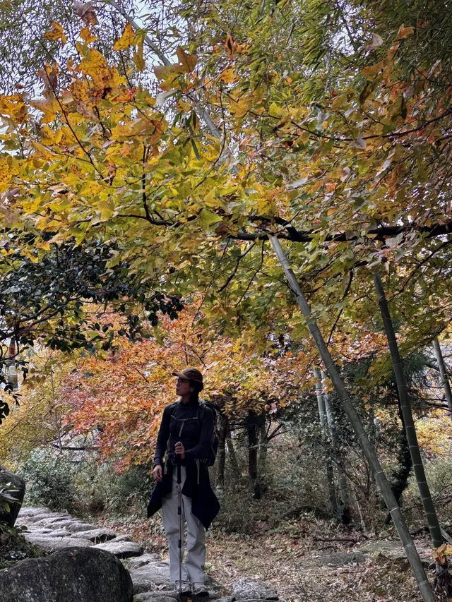 江西萍鄉/武功山一天正穿