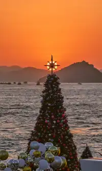 香港|12月,期待日落晚風中的海邊聖誕樹