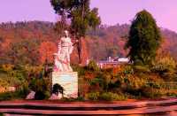 杉舞金虹·武漢植物園初冬畫冊