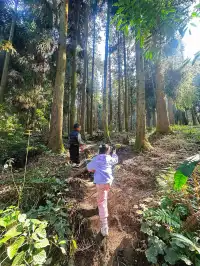 成都霧霾天的救命徒步!蒲虹路6公里,拿捏!