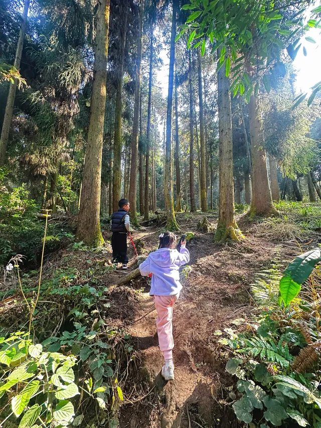 成都霧霾天的救命徒步!蒲虹路6公里,拿捏! 成都霧霾天的救命徒步!蒲虹路6公里,拿捏!