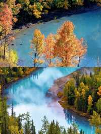 探秘新疆喀納斯，遇見最美的秋色