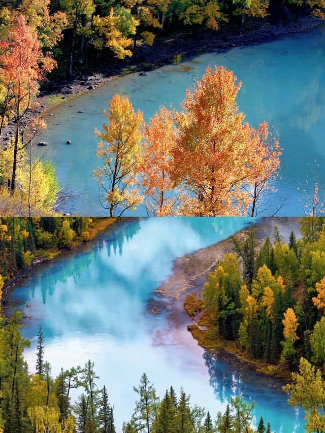 探秘新疆喀納斯，遇見最美的秋色