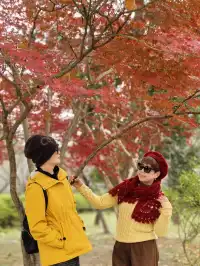 南京鐘山風景區漫遊