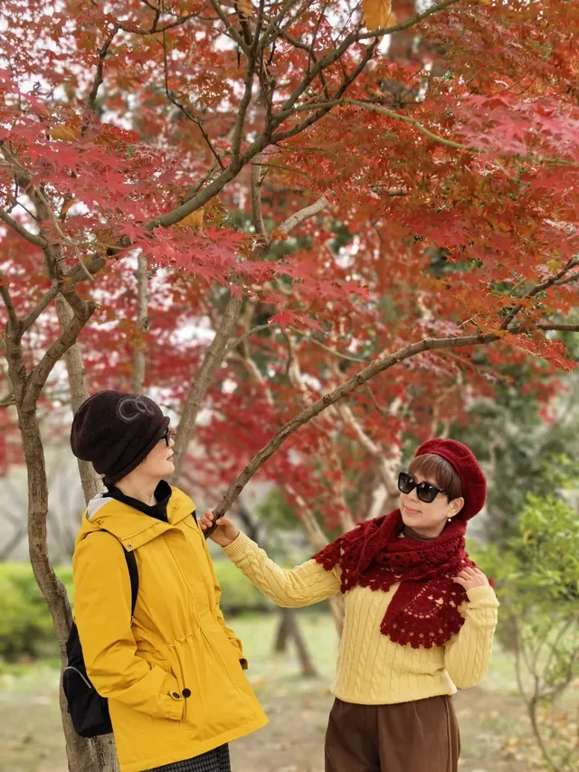 南京鐘山風景區漫遊 南京鐘山風景區漫遊