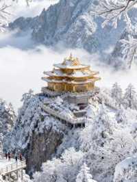 和閨蜜私奔到雪國!