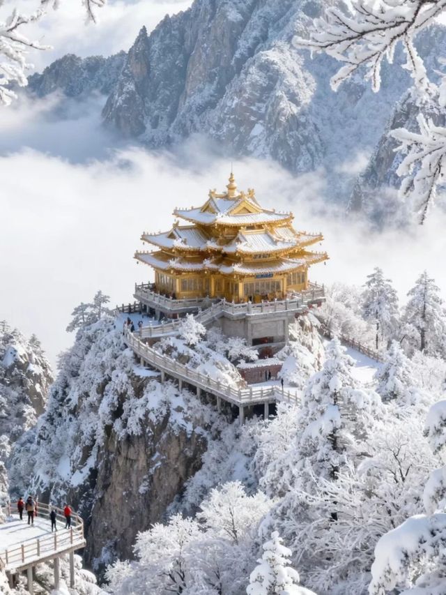 和閨蜜私奔到雪國! 和閨蜜私奔到雪國!