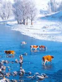 沒踩雷🫡第一次去阿爾山 直接照抄這份攻略