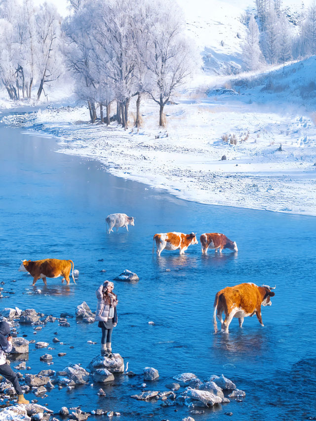 沒踩雷🫡第一次去阿爾山 直接照抄這份攻略 沒踩雷🫡第一次去阿爾山 直接照抄這份攻略