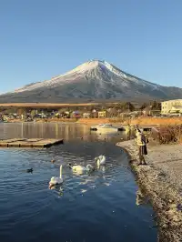 12.7實況live早起會被富士山獎勵粉色日出
