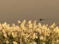 敦煌月牙泉|鳴沙山環抱的沙漠新月