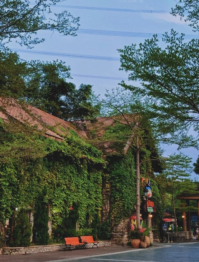 藏在深圳華僑城的慢生活天堂拍照打卡聖地! 藏在深圳華僑城的慢生活天堂拍照打卡聖地!