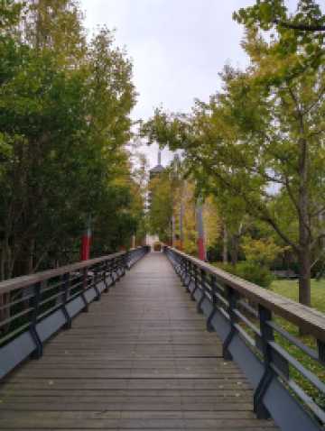 免費且24h開放!上海小眾江景公園,騎行觀鳥太絕了