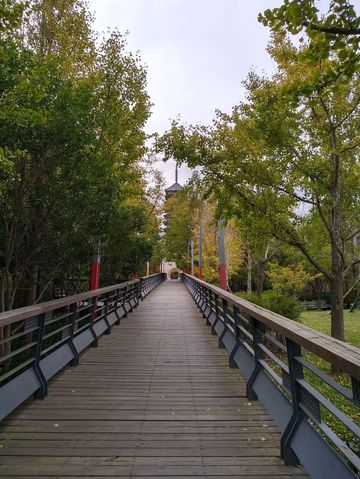 免費且24h開放!上海小眾江景公園,騎行觀鳥太絕了 免費且24h開放!上海小眾江景公園,騎行觀鳥太絕了