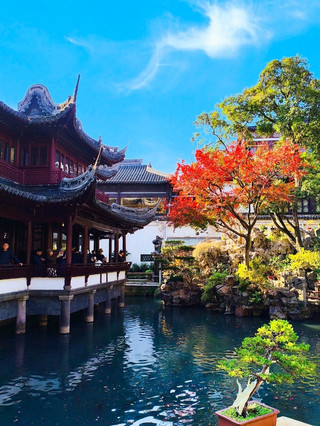 Shanghai’s Timeless Beauty of Yu Garden 🏯