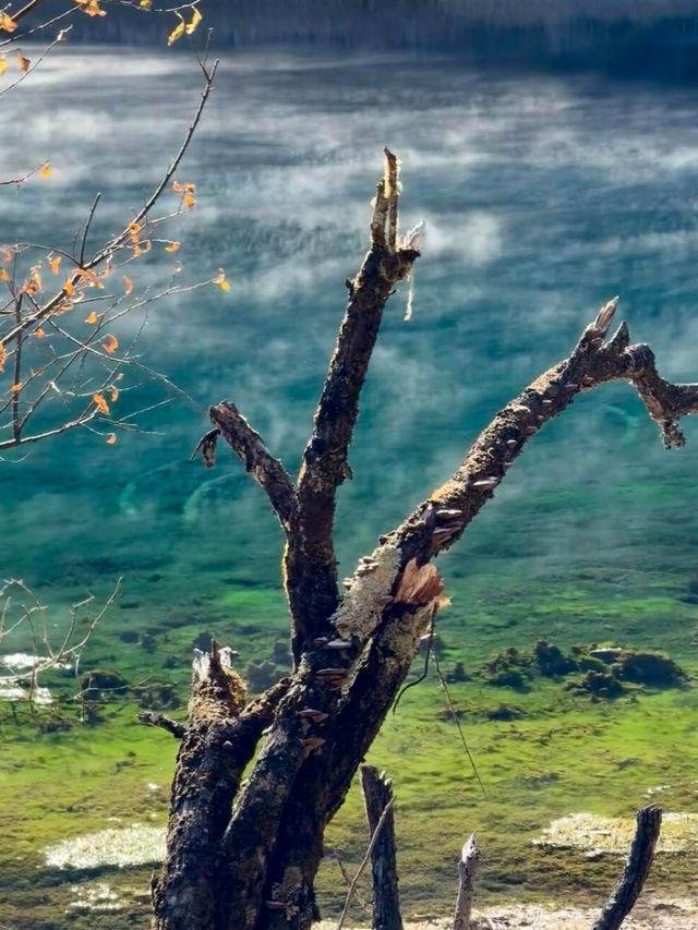 冰凝玉鏡,九寨溝冬日限定暴擊,藍冰琉璃海,美到窒息!