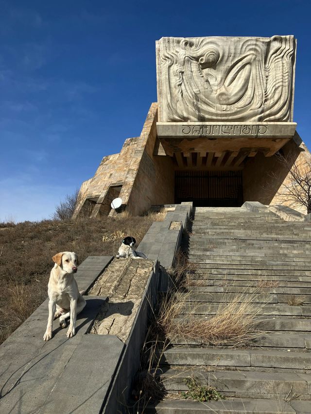 抄作業90%的人都不知道的連遊8日遊