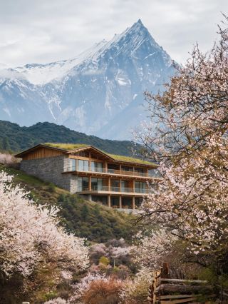 มีความสุขกับการใช้เวลากับเด็กๆ ในฤดูใบไม้ผลิบนที่ราบสูงที่ปกคลุมด้วยหิมะ! ภาพแห่งการเยียวยาจิตใจที่วาดขึ้นจากภูเขาที่ปกคลุมด้วยหิมะและดอกพีช