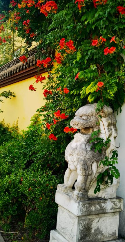 Shanghai Pujiang Changshou Zen Temple | An 800-year-old temple
