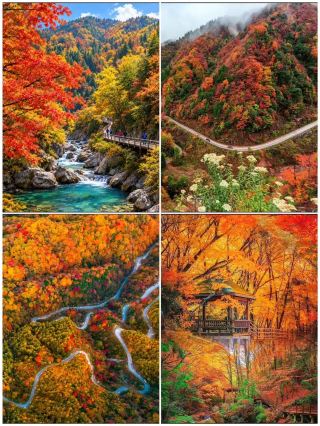 ภูเขาใบไม้แดงอันดับ 1 ของจีน! ฤดูใบไม้ร่วงนี้ต้องรีบพุ่งตัวไป วิวสวยจึ้งมาก