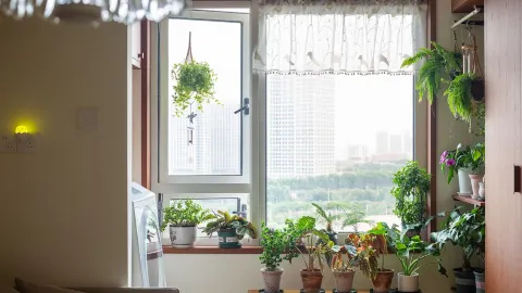 일본 여행 7일 초완벽 가이드, 꼭 저장하세요 — traveler post in 몬베쓰