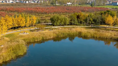 Yuanzihu Lake, Fengxian, Xuzhou | A hidden gem in Liangzhai! Free, healing, and a local secret  Yuanzihu Lake, Fengxian, Xuzhou, a hidden gem in Liangzhai! Free — traveler post in Feng County