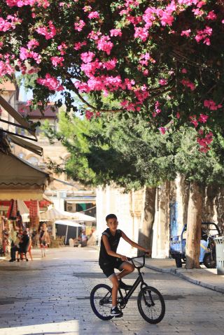 千年もの時を刻む石畳の路地、温かな日常の風景