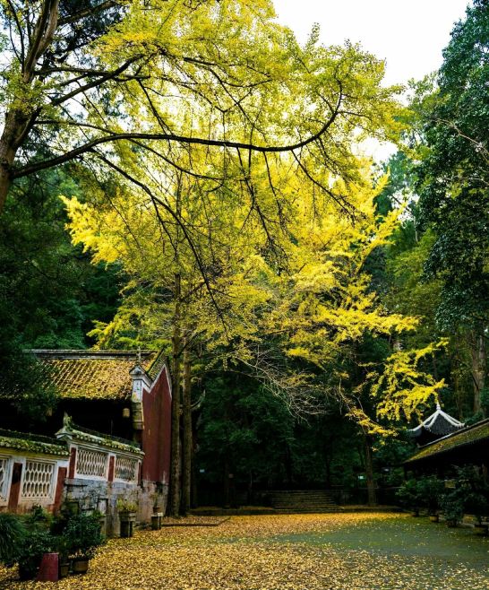 Huangping Feiyunya | A 600-year-old hidden gem in Southeast Guizhou, the ultimate free ancient architecture site!