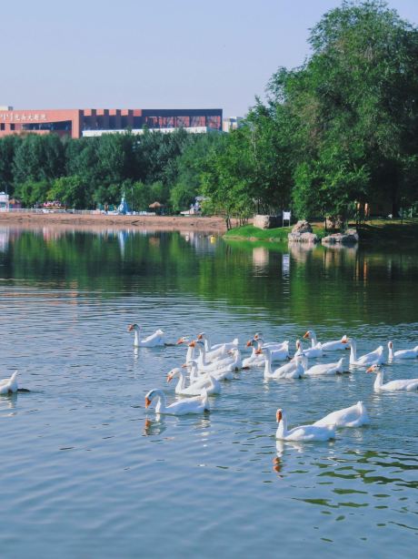 Baotou Esports Hotel Review
