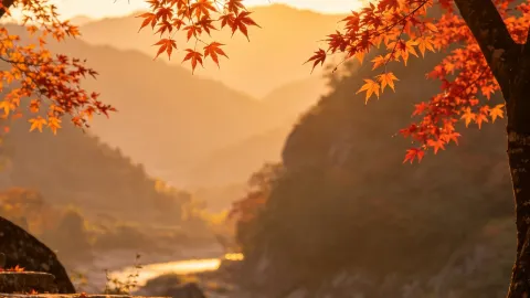 원저우 가을 감상 명소｜난시강 단풍 고대 길, 6분 거리 운기 민박 — traveler post in 리수이