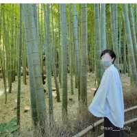 【鎌倉の代名詞🌿報国寺】