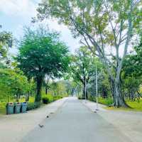 ขับรถไปสวนเบญจกิติ