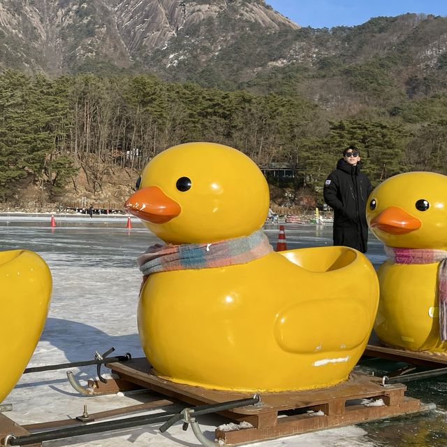 겨울철 익스트림 액티비티, 포천 산정호수 러버덕 기차🐥