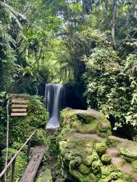 Suwat Waterfall, Ubud🌿