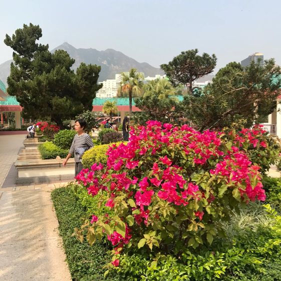 Airy, Spacious and Easily Reached Park