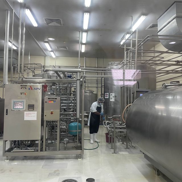  【 Desa奶牛場｜神山行程必去｜馬來西亞】 Desa Dairy Farm 