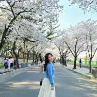 ๐ธ ๊ฒฝ์ฃผ "๋๋ฆ์"์ ์ง๊ธ ๋ฒ๊ฝ ๋ง๊ฐ๐ธ