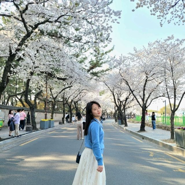 ๐ธ ๊ฒฝ์ฃผ "๋๋ฆ์"์ ์ง๊ธ ๋ฒ๊ฝ ๋ง๊ฐ๐ธ ๐ธ ๊ฒฝ์ฃผ "๋๋ฆ์"์ ์ง๊ธ ๋ฒ๊ฝ ๋ง๊ฐ๐ธ