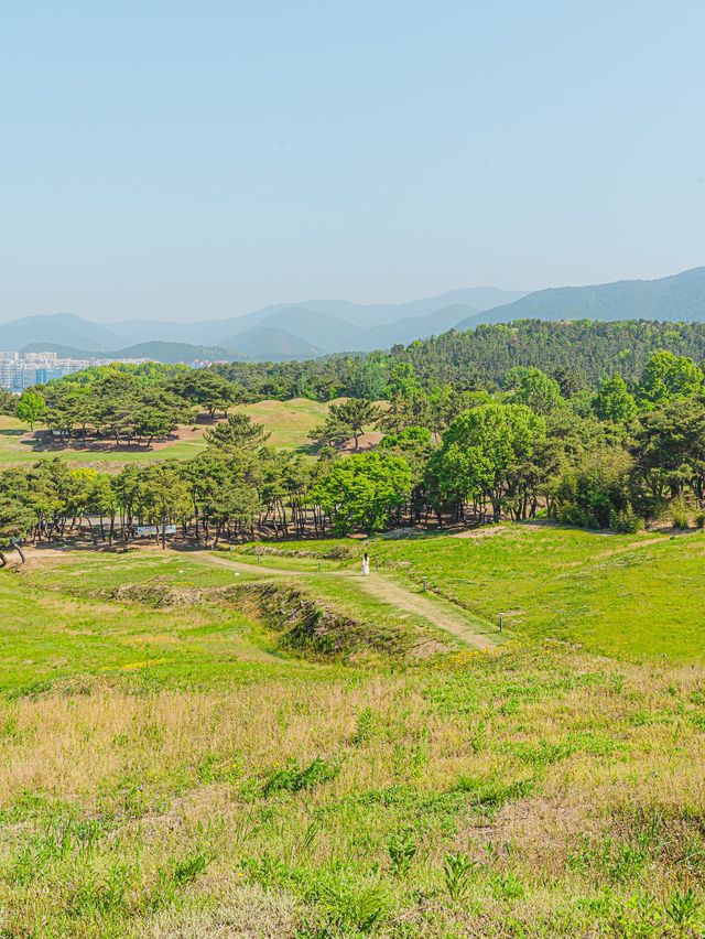🌿5월 꼭 가봐야할 대구•경주 여행지🌸