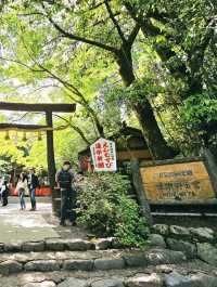 嵐山野宮神社