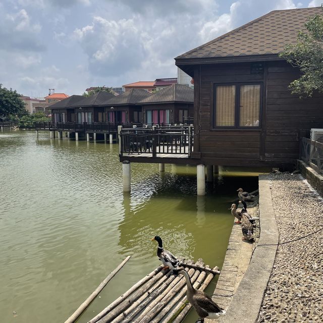 三鄉鎮😌六尊凱莊園酒家🫶🏻鄉土味週末享受