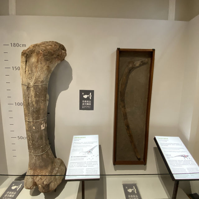 Taiwan National Museum blast from the past