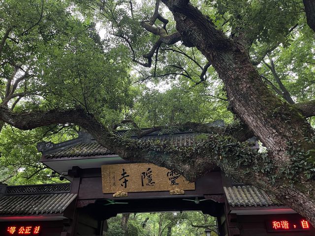 Lingyin Temple beautiful experience 💗