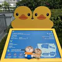 Fatty Puffy meet Duckys