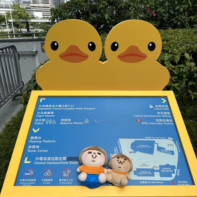 Fatty Puffy meet Duckys
