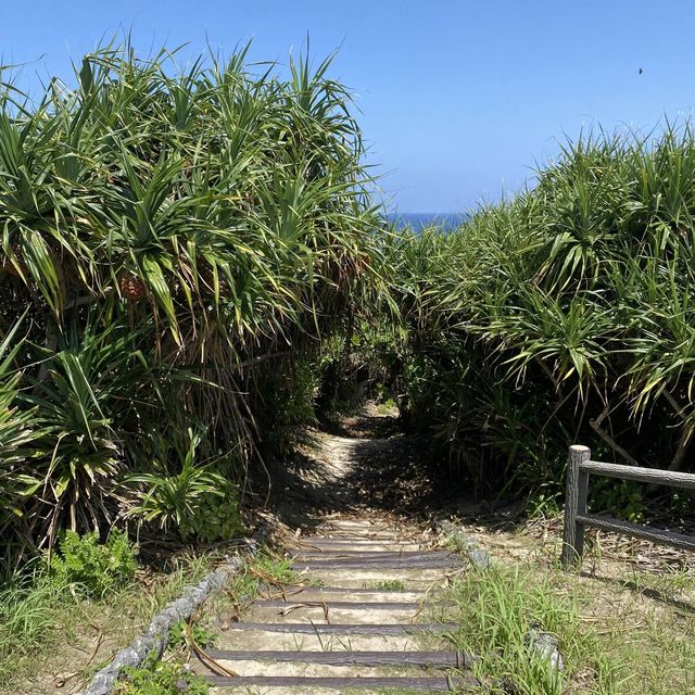 奄美「あやまる岬観光公園の展望台2」は穴場かもしれない