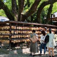 ศาลเจ้าอัตสึตะ 熱田神宮⛩️