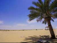 杜拜🇦🇪體驗沙漠中的綠洲度假村酒店🏖