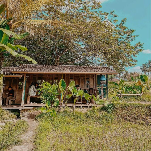 Kopi Klotok, Jogjakarta