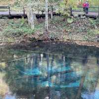 【北海道】摩周湖から生まれた神秘の湖「神の子池」